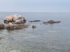 -养马岛旅游度假区