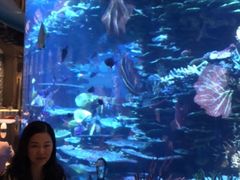 -迪拜帆船酒店海底餐厅