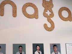 -纳吉亚猫专科动物医院·北北分院