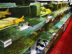 水产区-胖姐渔村(中源大道店)