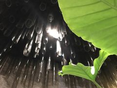 -水月·和牛工坊(水晶郦城店)