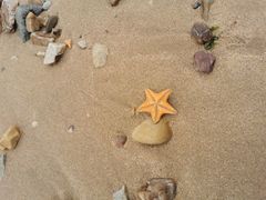 -星海广场