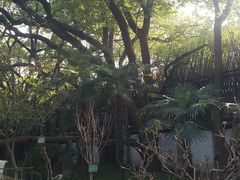 -上海宋庆龄故居纪念馆