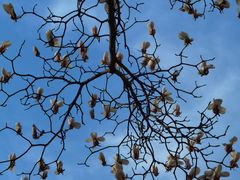 -首都医科大学附属北京友谊医院(西城院区)