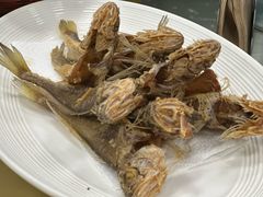 -沪依小酒馆心意菜
