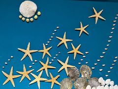 -青岛贝壳博物馆