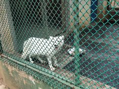 -广东茂名森林公园