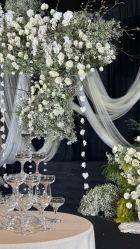 -上海金茂君悦大酒店·宴会厅