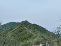 -大围山国家森林公园