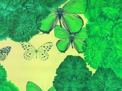 -蝴蝶里·粤菜·点心(龙湖杭州金沙天街店)
