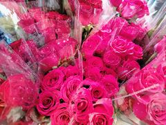 -循礼门鲜花花市(武汉循礼门店)