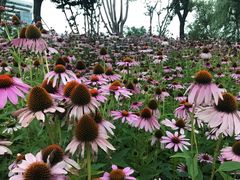 -白塘生态植物园