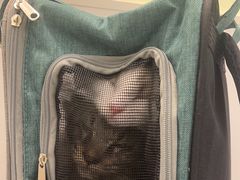 -艾吉宠物医院·疑难杂症转诊中心·猫友好(碧江路院)