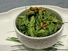 巧拌云南松针芽-悦融琥珀·京鲁菜·海味珍品(西单店)