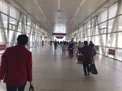 -阜阳站