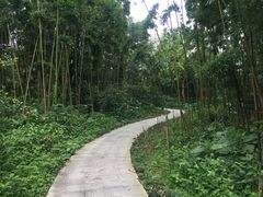 -福建鲤鱼洲酒店