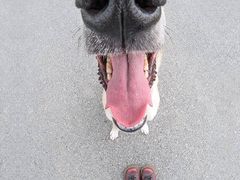 -万达广场(南京江宁店)