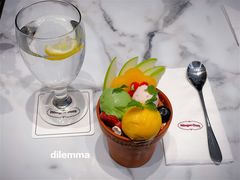 盆栽-哈根达斯(SM店)