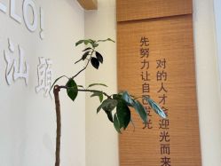 -可樱汇·美容洗发SPA