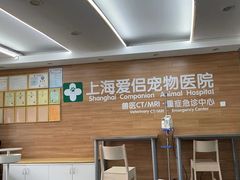 -爱侣宠医·鹦鹉专科·小型哺乳类·异宠专科(灵石路店)
