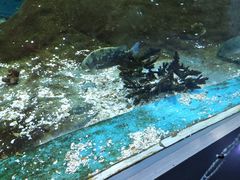 -海合安武汉极地海洋公园