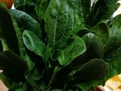 -掂档潮汕牛肉火锅(沈阳万象城店)