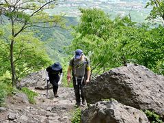 -大觉寺-停车场