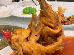 -金三杯酒家(泉城路店)