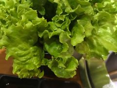 生菜-韩宫宴炭火烤肉(昆山金鹰店)