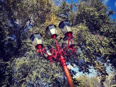 -哈尔滨文化公园