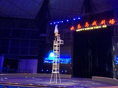-无锡动物园·太湖欢乐园