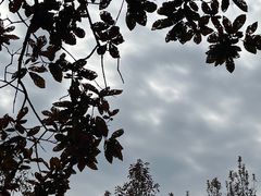 -白塘生态植物园