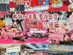 -新城市广场