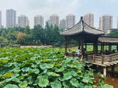 -龙头寺公园