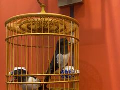 -了凡国风主题茶馆·咖啡(武侯祠锦里店)