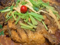 -老板恋上鱼(恒隆广场店)