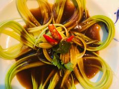 -食家鸽园