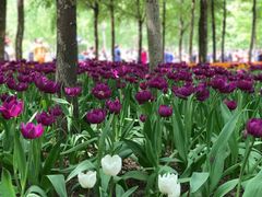 -长春公园(普阳街道)