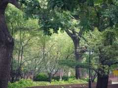 -陶然亭公园