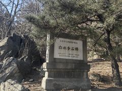 -白水寺森林公园