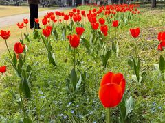 -浙江大学(玉泉校区)