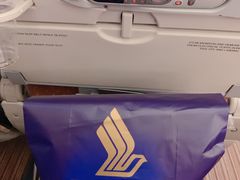 -新加坡航空公司(ION)