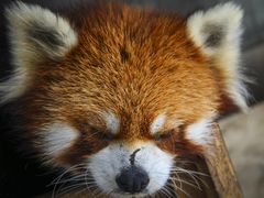 -秦皇岛野生动物园