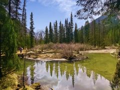 -白马王朗自然风景区