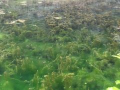 -碓臼峪自然风景区