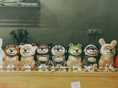 -柴务处·柴犬主题狗咖