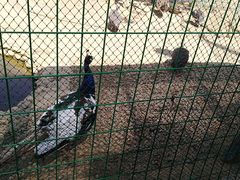 -武汉紫薇都市田园