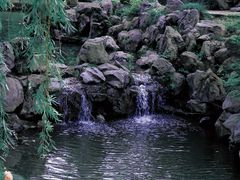 -紫阳古街