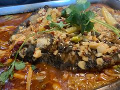 -陈生记黑鱼馆·20年活鱼现杀(宁波鼓楼店)