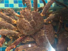 -南海底小海鲜·湘菜(鲁巷吴家湾店)
